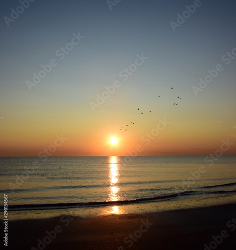 Sonnenaufgang am Meer mit Möwen