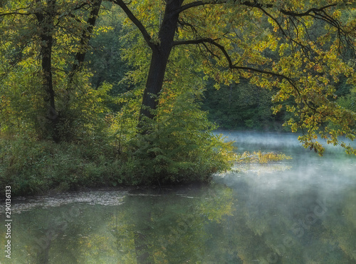 moody morning on lake with fog