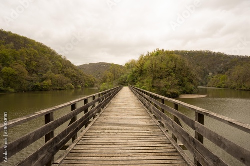 Pont en bois sur un lac vers une for  t