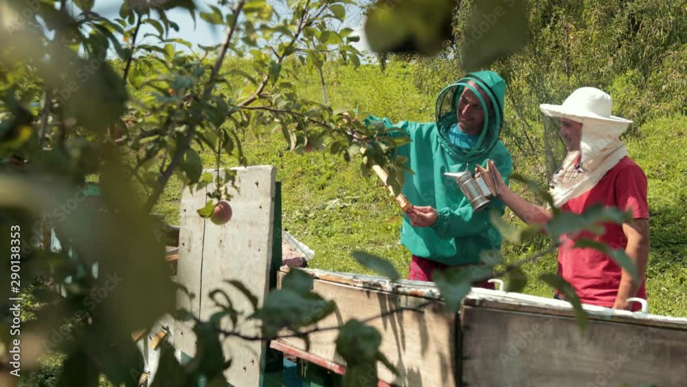 two beekeepers in green and red special attire, collecting honey two beekeepers in green and red special attire, collecting honey