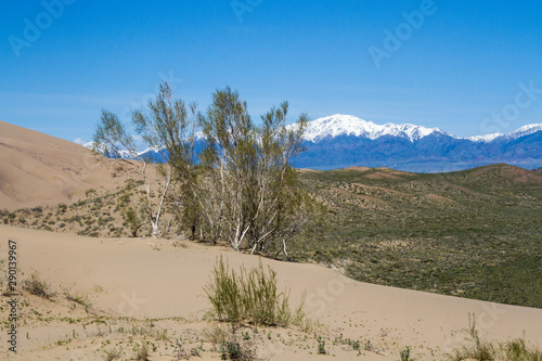 Singing Dune in Kazakhstan photo