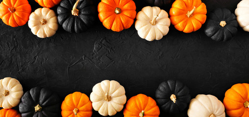 Autumn pumpkin double border banner in Halloween colors orange, black and white against a black stone background. Copy space.