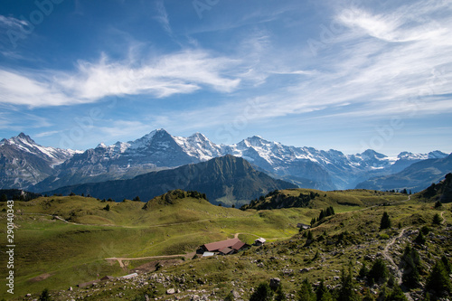 the beautiful view during the hike in Schyninge Platte with the mountain range Eiger, Mönch and Jungfrau in the background