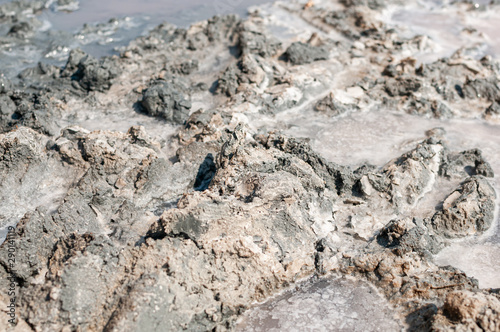 Grey mud in the pink lake in Sivash