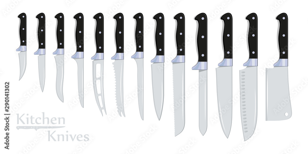 Different Types of Kitchen Knives. Cutlery Chef's: Meat Cleaver, Small  Bread, Carving, Banning, Paring, Steak, Bread. Collection of Kitchenware  Knives for various Purposes. Vector graphics to design. Stock Vector |  Adobe Stock