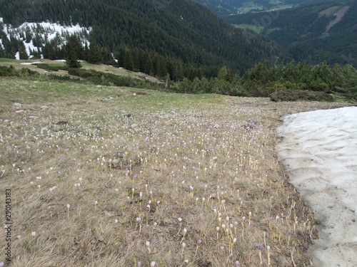 beautiful nature hiking in gousaukamm dachsteingebirge photo