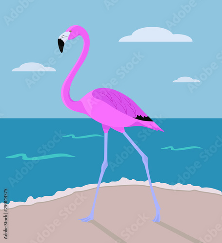 Beautiful pink flamingo by the sea. Tropical bird  nature  zoology  sea. Flat design. Vector illustration. EPS10