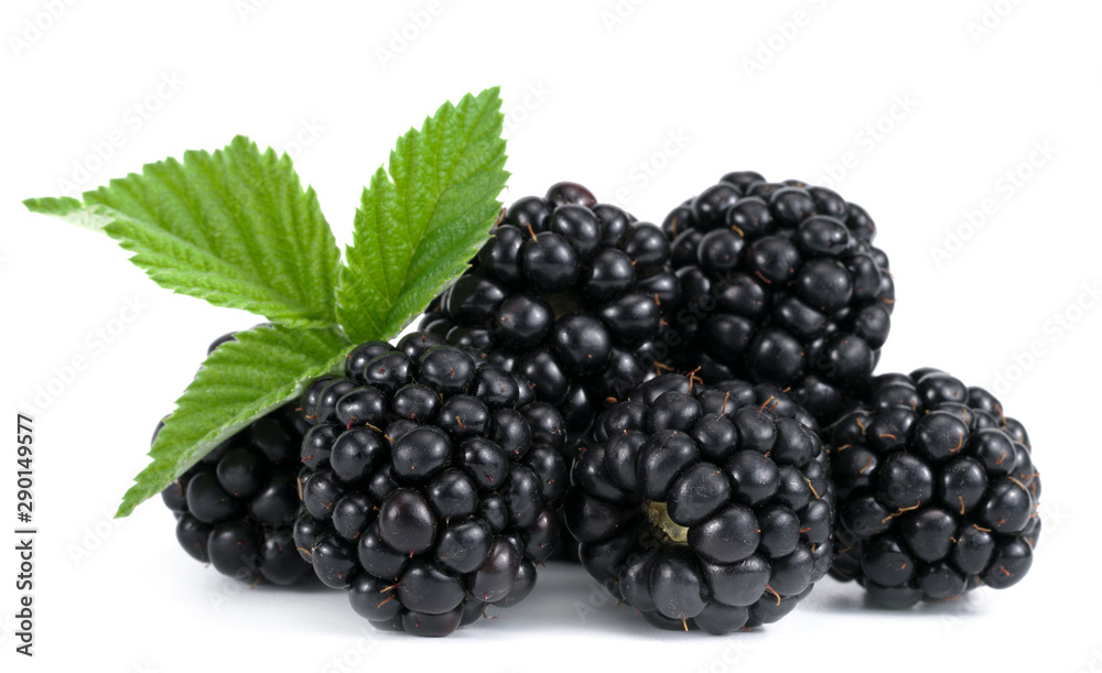 Group of two ripe blackberries with green leaves isolated on white background Group of two ripe blackberries with green leaves isolated on white background