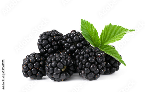 Group of two ripe blackberries with green leaves isolated on white background