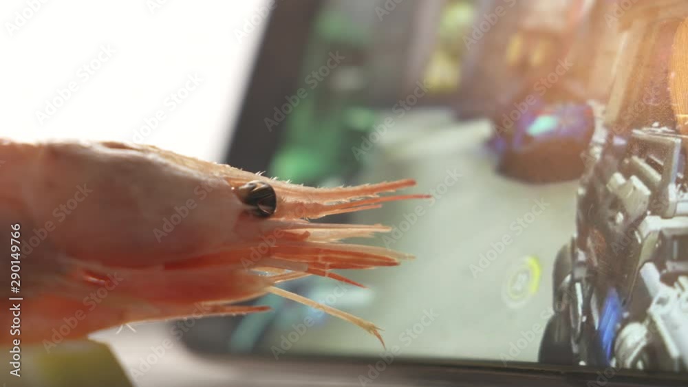 Boiled shrimp gamer watching live video game play stream on mobile phone screen. Smartphone streaming Overwatch online game.