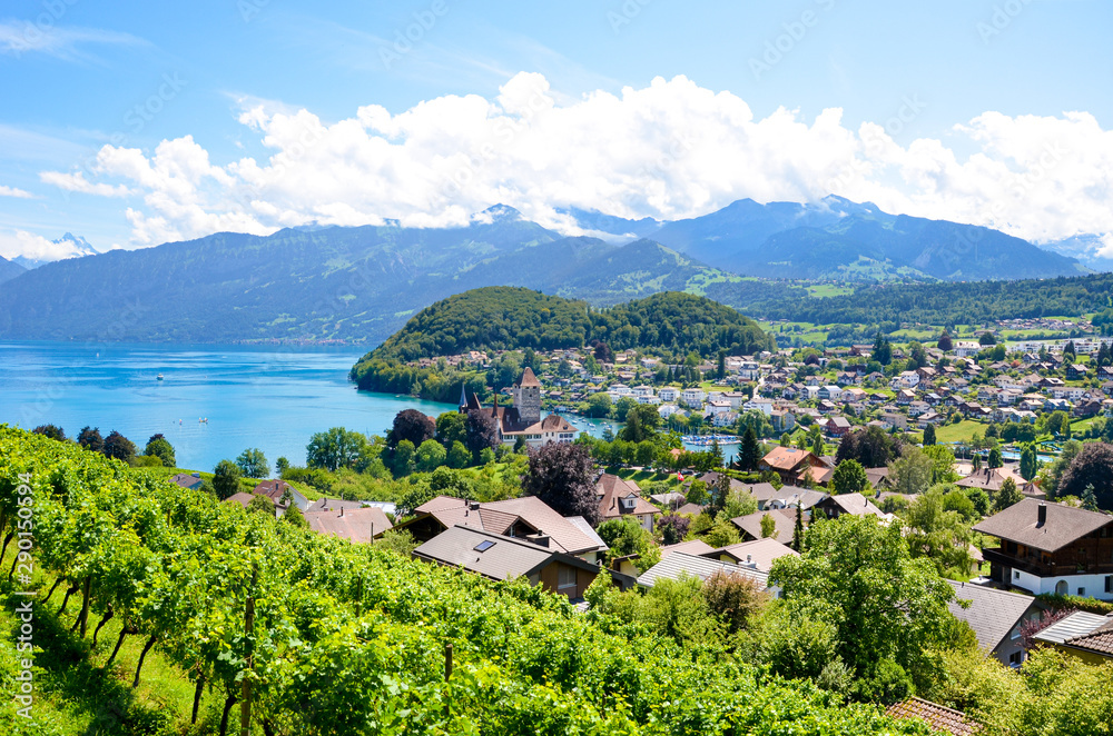 Picturesque Alpine village Spiez located by Lake Thun in Switzerland photographed in the summer season. Green vineyards on the adjacent slopes. Swiss landscape. Peaks of the Alps in the background