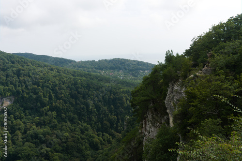 View of mountain forest trees and dramatic heavy blue sky. Natural landscape with sunny background. Green wood forest with clouds scenery, raw original picture © Fizzl