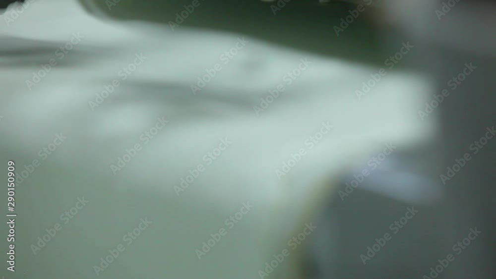 dumpling factory, frozen foods