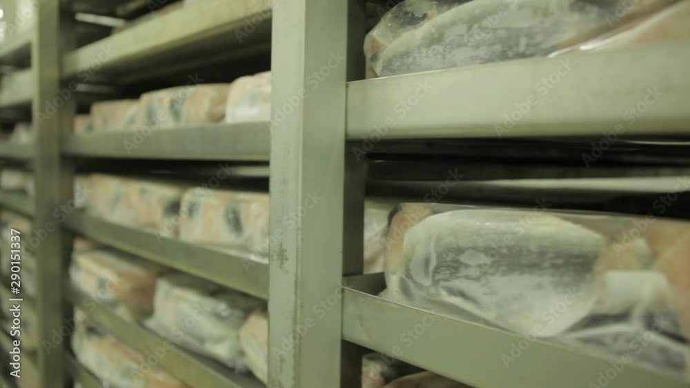 fish packing factory fish packing factory