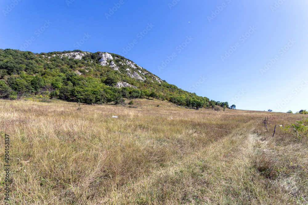 Obraz premium The Pilis mountains at Kesztolc on a summer day.