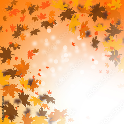 Autumn leaves banner illustration. Orange and yellow falling leaves