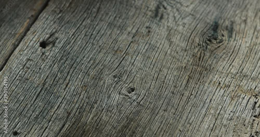 Video Slide Across Autumn Fall Pumpkins With Happy Halloween Sign