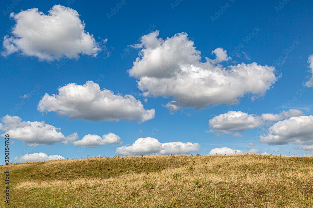 Fluffy white clouds over a field, along the South Downs Way in Sussex Fluffy white clouds over a field, along the South Downs Way in Sussex