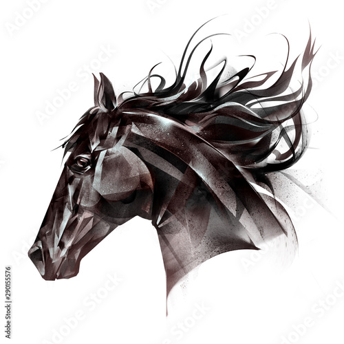 drawn portrait of a horse face on a white background