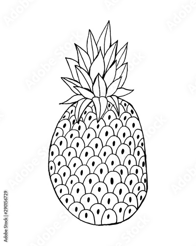 Pineapple with leaf icon. Tropical fruit isolated on white background. Symbol of food, sweet, exotic and summer, vitamin, healthy. Nature logo dessert. Flat concept. Design element Vector illustration