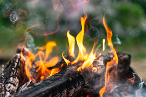 Burning fire. Flames with smoke rise up. Burning wood at close range.