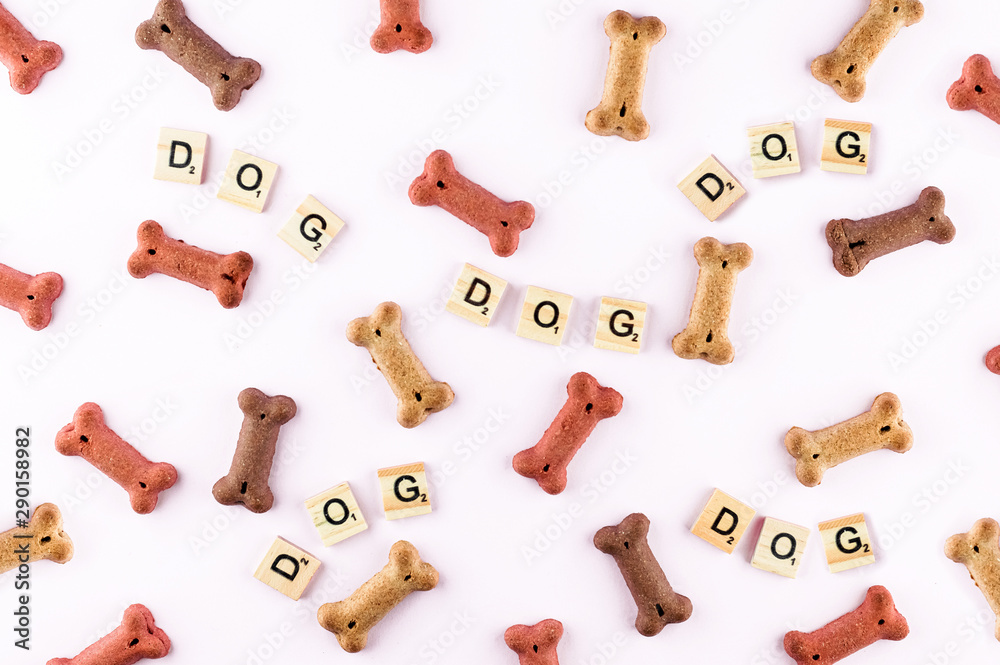 Dog food pattern made with dry snacks in shape of bones. Word dog in wooden tiles. Funny flat lay texture. Home pets, animals feeding. Special diet, training supply. Top view background. Dog food pattern made with dry snacks in shape of bones. Word dog in wooden tiles. Funny flat lay texture. Home pets, animals feeding. Special diet, training supply. Top view background.