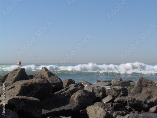 Seagulls are watching the waves of the Pacific Ocean crash against the rocks.