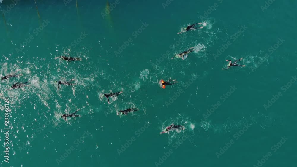 Drone top view many swimmers in the sea. Fly above swimmers in sea Drone top view many swimmers in the sea. Fly above swimmers in sea