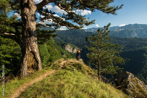 Perucica Forest photo