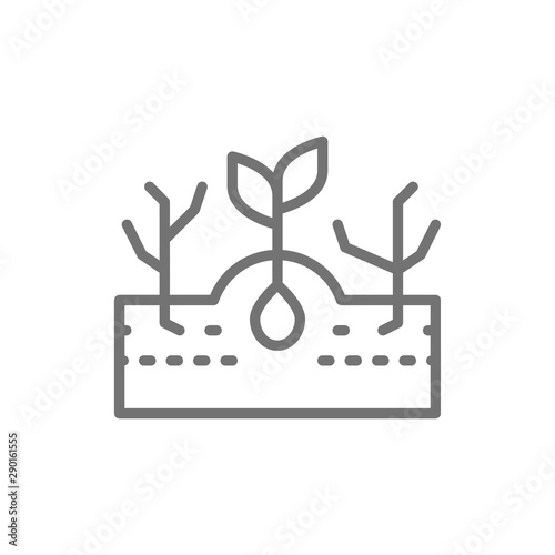 Plant with weeds, weed control line icon.
