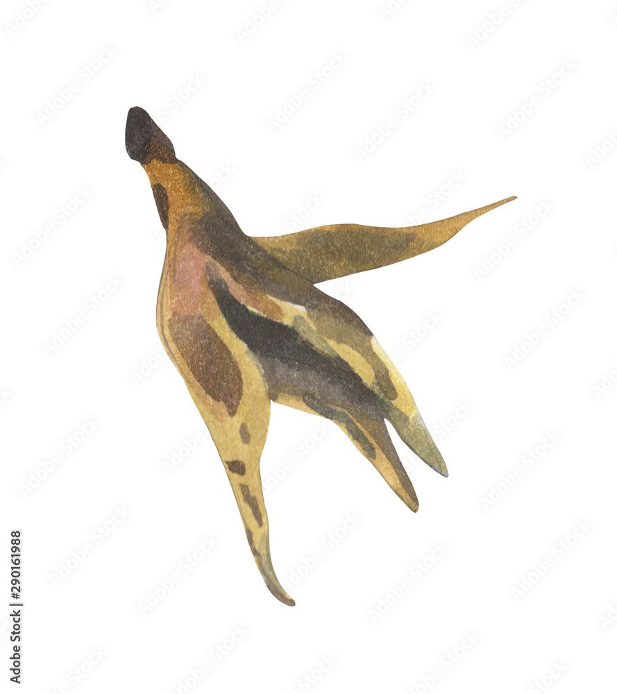 Fototapeta premium Watercolor element on the topic of environmental pollution, litter of megacities. Rotten banana peel