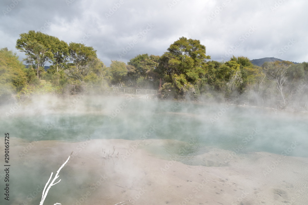 Hot springs in Rotorua, North Island, New Zealand