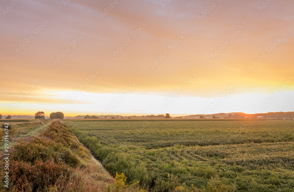 Sunrise over farmland in the Black Dirt section of Pine Island, NY, in late summer