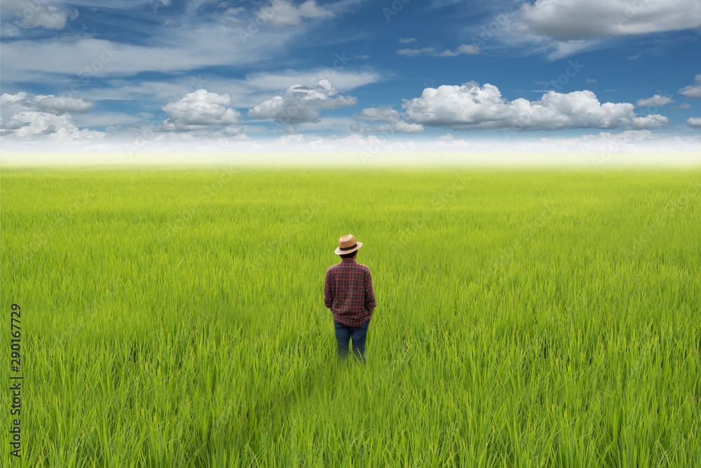 A man wearing a straw hat standing at the rice field with blue sky and clouds A man wearing a straw hat standing at the rice field with blue sky and clouds
