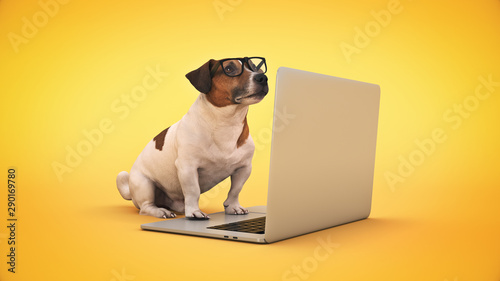 Sticker business concept pet dog using laptop computer. 3d rendering