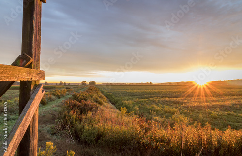 Sunrise over farmland in the Black Dirt section of Pine Island, NY, in late summer © rabbitti