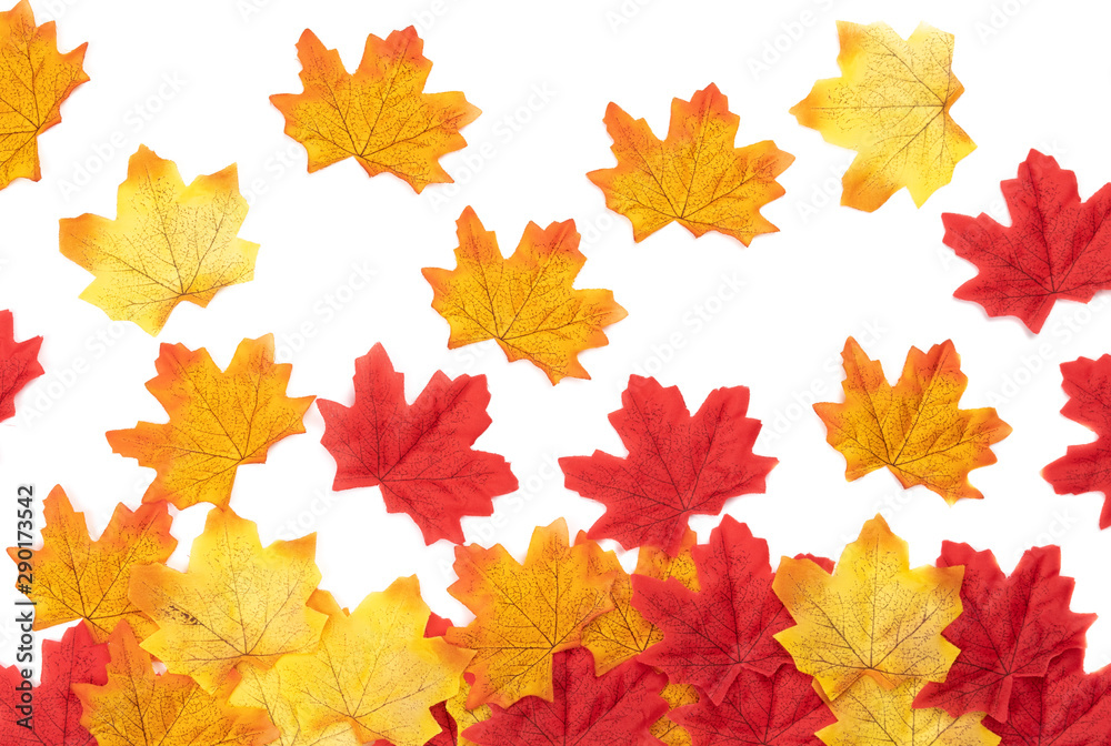 Top view Autumn maple leaves texture. Background made of color red and orange leaves isolate on white background. Nature background, Flat lay patterns Top view Autumn maple leaves texture. Background made of color red and orange leaves isolate on white background. Nature background, Flat lay patterns