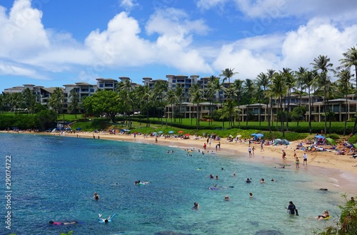 Fototapeta Naklejka Na Ścianę i Meble -  View of the Beach, Hawaii