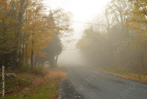 country backroad in early morning autumn landscape