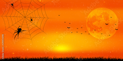 ハロウィン　秋　クモ　背景 