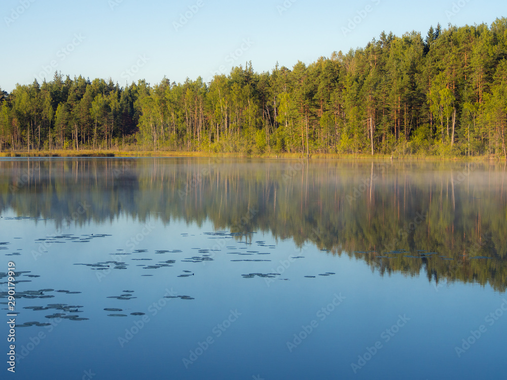 lake with reflections