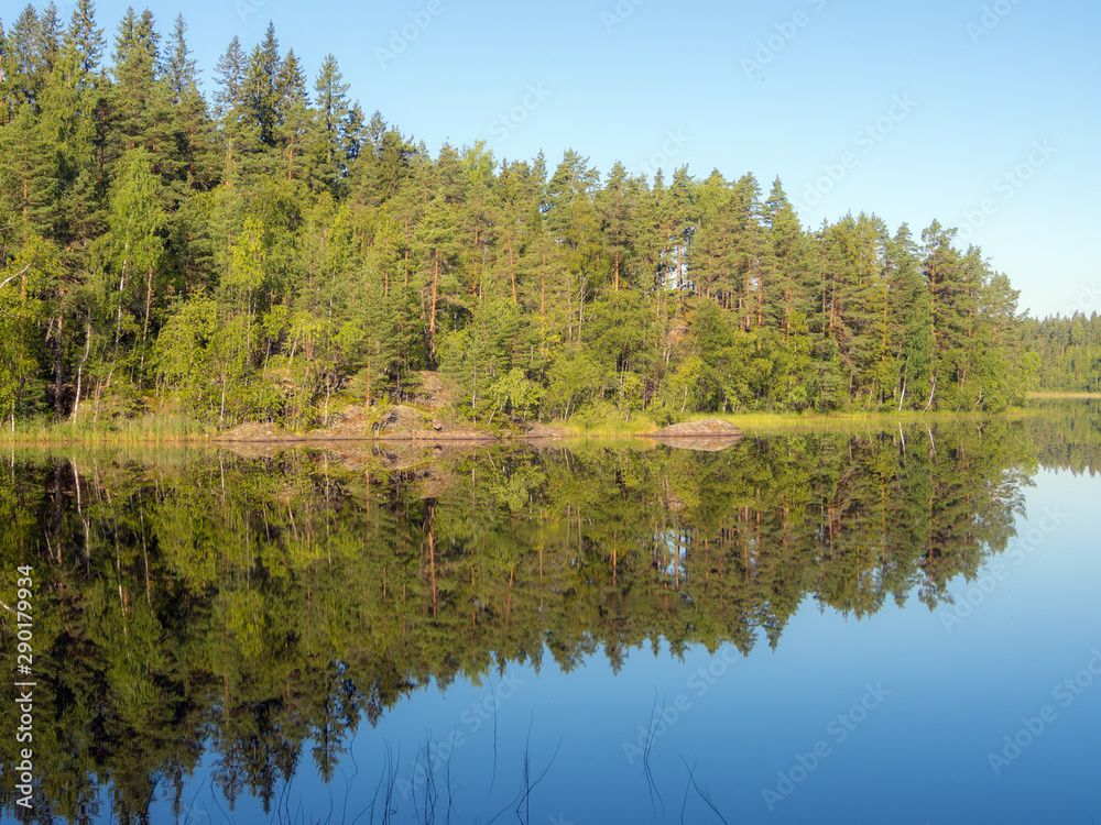 landscape on a forest lake in morning