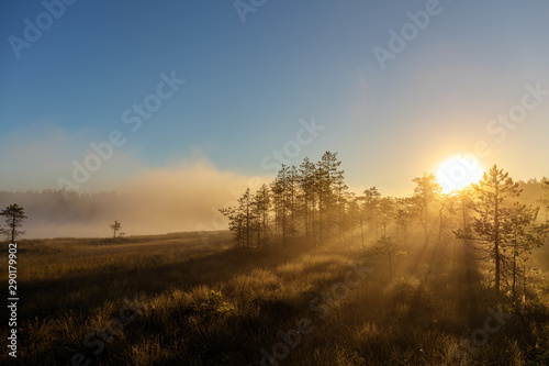 fog over a small forest lake © Maslov Dmitry
