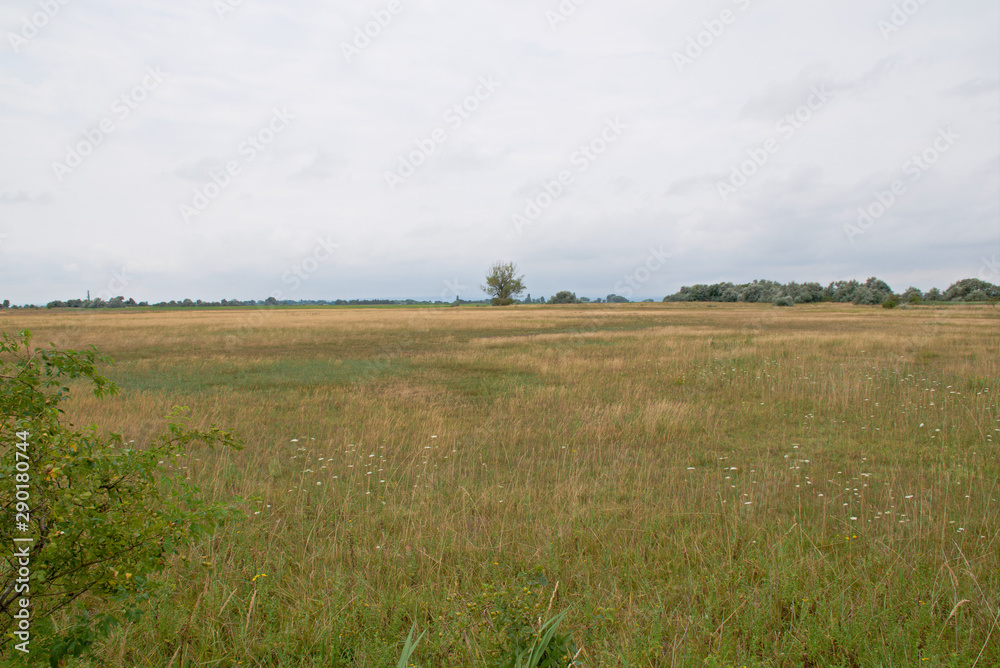 Landscape shot in the national park Neusiedler See in Illmitz Burgenland Landscape shot in the national park Neusiedler See in Illmitz Burgenland