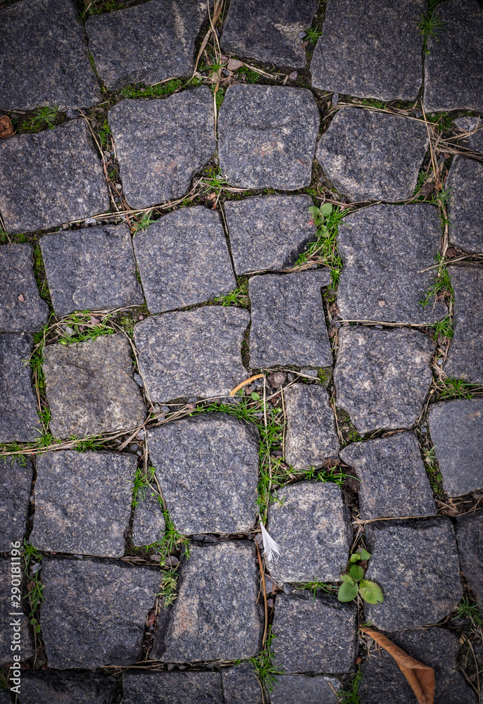 Obraz premium old stoneblock pavement cobbled with square granite blocks with green grass sprouted texture with vignette. background, nature.