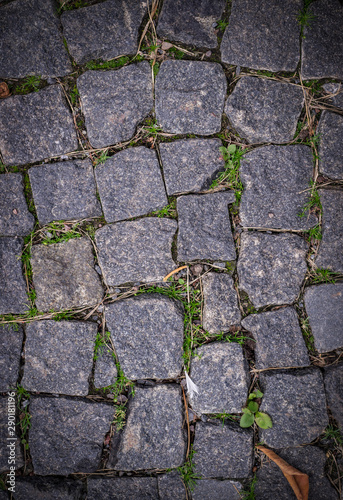 old stoneblock pavement cobbled with square granite blocks with green grass sprouted texture with vignette. background, nature.