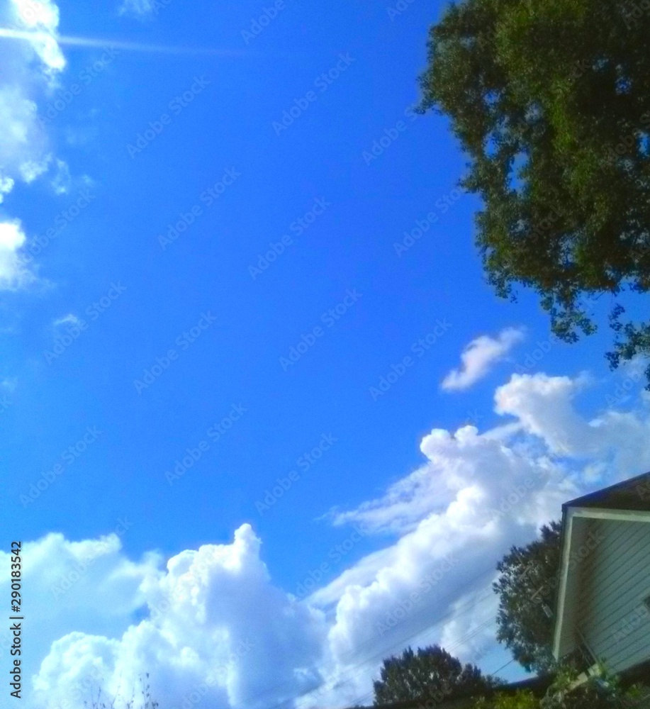 Heavenly Louisiana Sky With Ascending White Dreamy Clouds Among The Trees In The Background On A Cool Day On The Coast 
