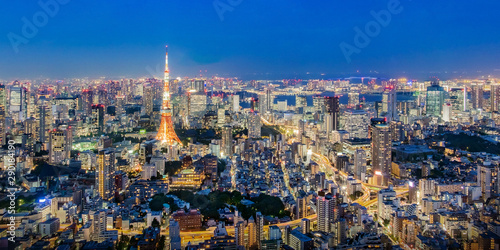 Cityscape of Tokyo skyline  panorama aerial skyscrapers view of office building and downtown in Tokyo in the evening. Japan  Asia.