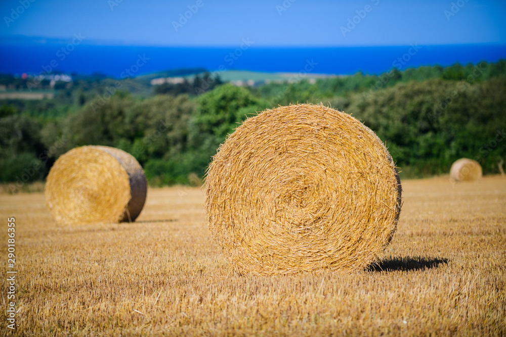 Landscape with twisted haystack. Finister. Brittany. France Landscape with twisted haystack. Finister. Brittany. France