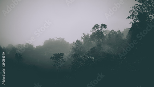 Misty landscape with fir forest in hipster vintage retro style. Fairy tale spooky looking woods in a misty day. Cold foggy morning in horror forest
